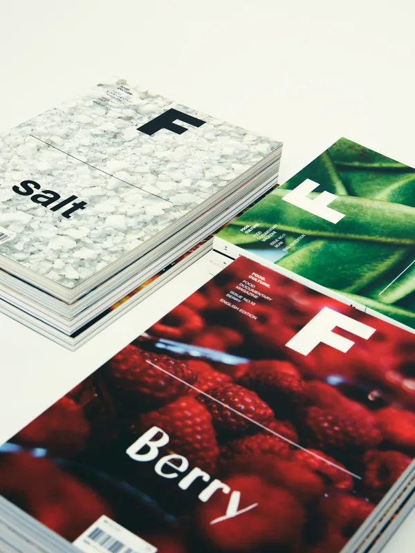 Magazine F